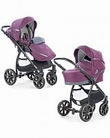 Noordi Коляска детская Polaris Comfort 2в1 / цвет  677 Italian Plum					